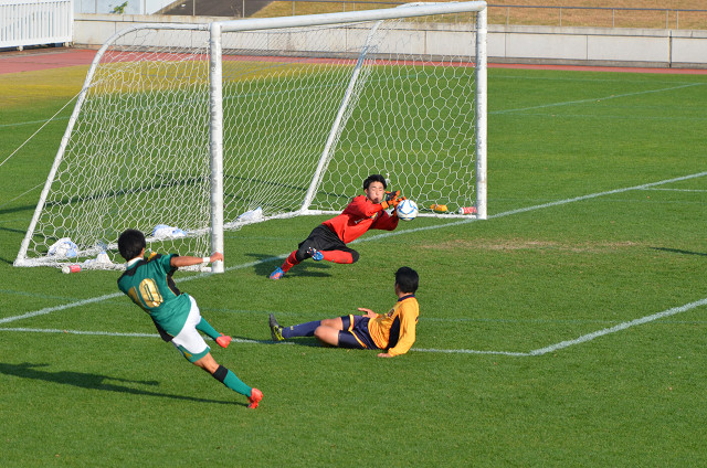 20151213A1_13.jpg